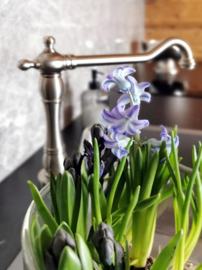 Siedlisko Koscielisko Appartement Buitenkant foto