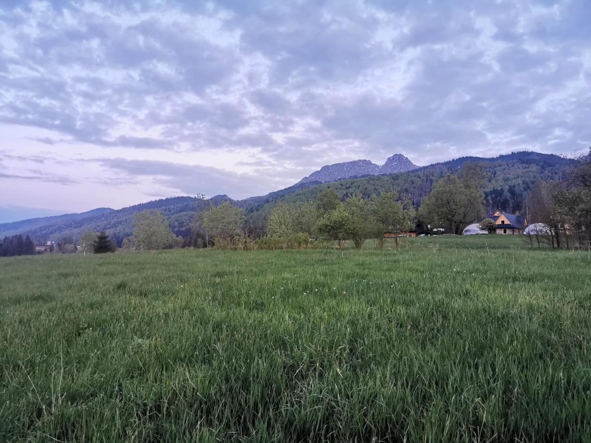 Siedlisko Koscielisko Appartement Buitenkant foto
