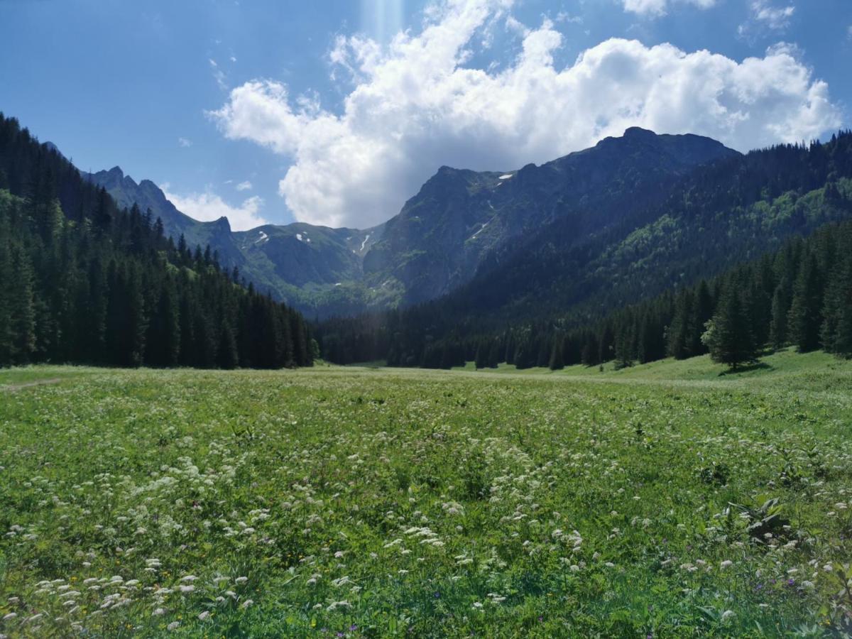 Siedlisko Koscielisko Appartement Buitenkant foto
