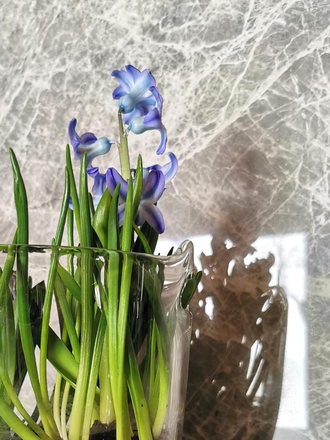 Siedlisko Koscielisko Appartement Buitenkant foto