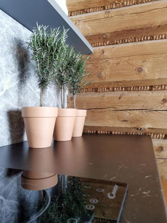 Siedlisko Koscielisko Appartement Buitenkant foto